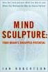 Mind Sculpture