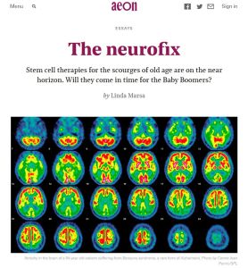 Neurofix, reparación neuronal