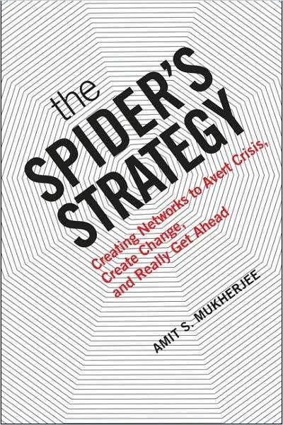 Image of: The Spider's Strategy