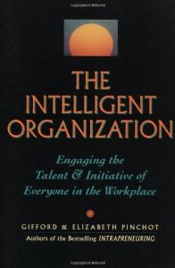 The Intelligent Organization