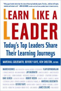 Learn Like a Leader book summary
