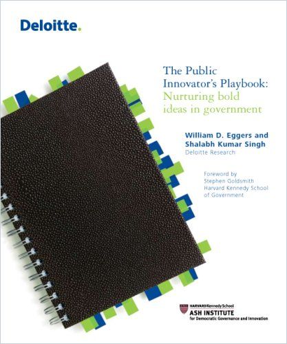 The Public Innovator's Playbook cover