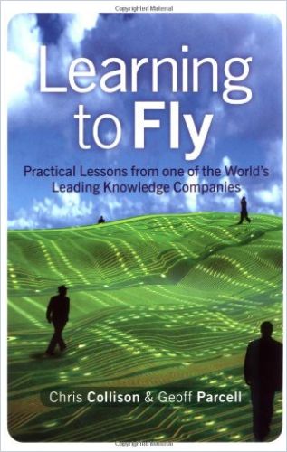 Learning to Fly cover