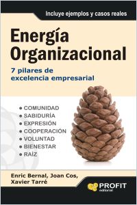 Energía organizacional resumen de libro