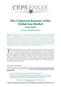The ‘Unknown Knowns’ of the Global Gas Market