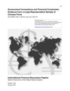 Government Connections and Financial Constraints