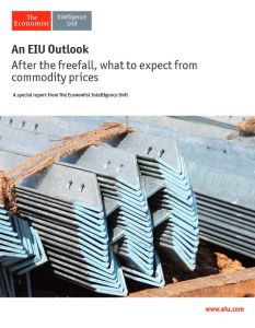After the Freefall, What to Expect from Commodity Prices