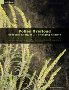 Pollen Overload