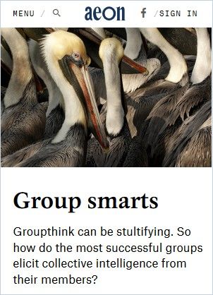 Image of: Group Smarts