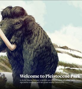 Welcome to Pleistocene Park