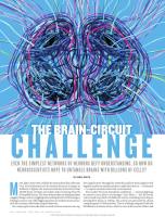 The Brain-Circuit Challenge