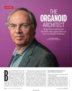 The Organoid Architect