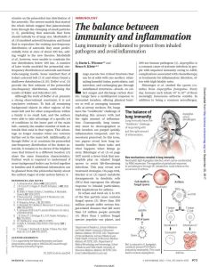 The Balance Between Immunity and Inflammation