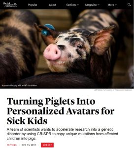 Turning Piglets Into Personalized Avatars for Sick Kids