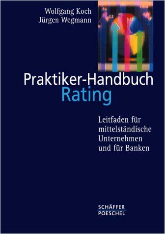 Praktiker-Handbuch Rating cover