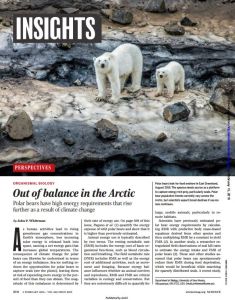 Out of Balance in the Arctic