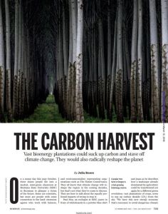 The Carbon Harvest
