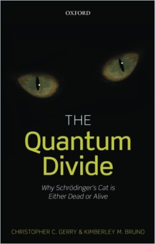 Image of: The Quantum Divide