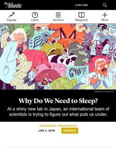 我们为什么需要睡眠？