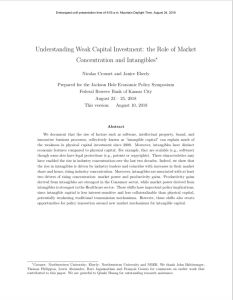 Understanding Weak Capital Investment