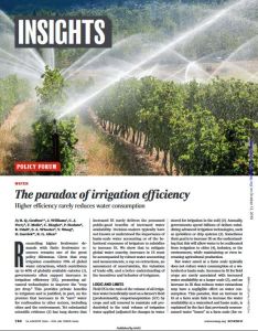 The Paradox of Irrigation Efficiency