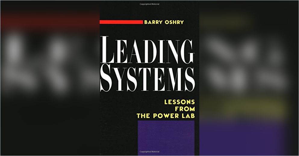 Leading Systems: Lessons from the Power Lab Free Summary by Barry Oshry