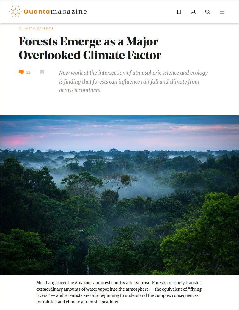 Image of: Forests Emerge as a Major Overlooked Climate Factor