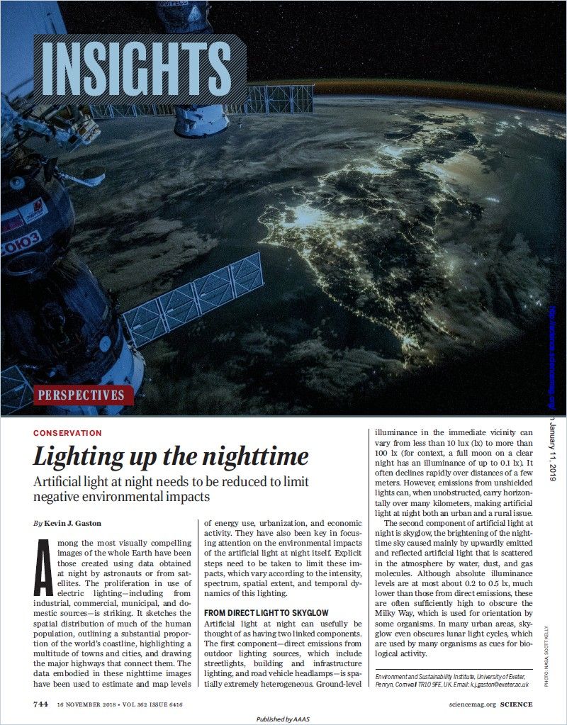 Image of: Lighting Up the Nighttime