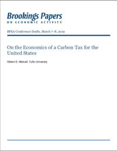 On the Economics of a Carbon Tax for the United States