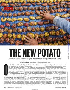 The New Potato