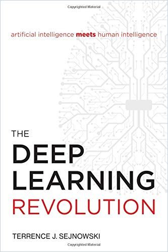 Image of: The Deep Learning Revolution