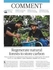 Regenerate Natural Forests to Store Carbon