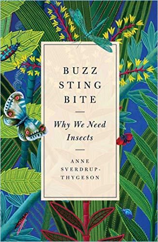 Image of: Buzz, Sting, Bite