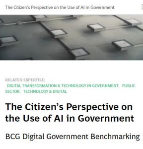 The Citizen’s Perspective on the Use of AI in Government