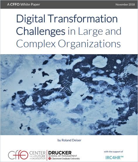 Image of: Digital Transformation Challenges in Large and Complex Organizations