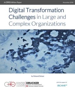 Digital Transformation Challenges in Large and Complex Organizations