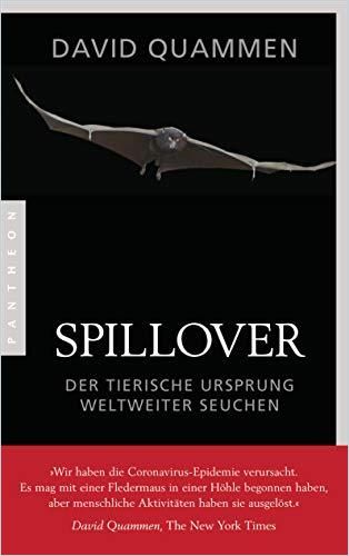Image of: Spillover