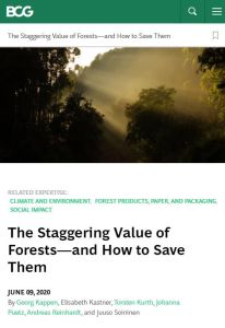 The Staggering Value of Forests – and How to Save Them