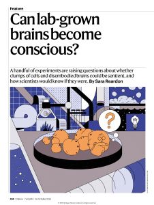 Can Lab-Grown Brains Become Conscious?
