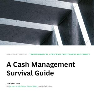 Una guía de supervivencia para la gestión del efectivo