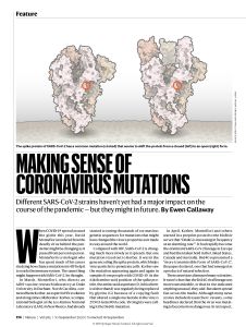 Making Sense of Coronavirus Mutations