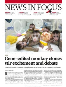 Gene-Edited Monkey Clones Stir Excitement and Debate
