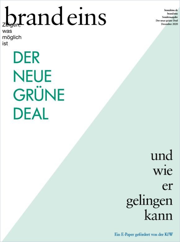 Image of: Der neue grüne Deal und wie er gelingen kann