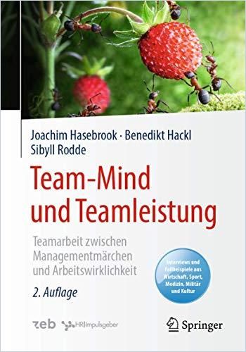 Image of: Team-Mind und Teamleistung