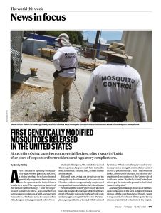 First Genetically Modified Mosquitoes Released in the United States