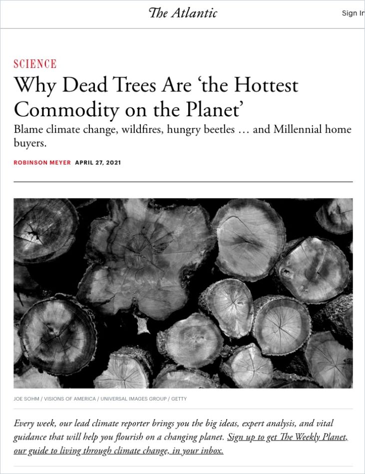 Image of: Why Dead Trees Are ‘the Hottest Commodity on the Planet’