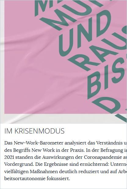 Im Krisenmodus cover