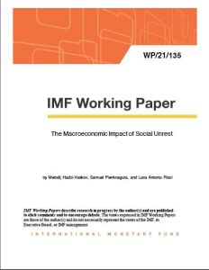 The Macroeconomic Impact of Social Unrest