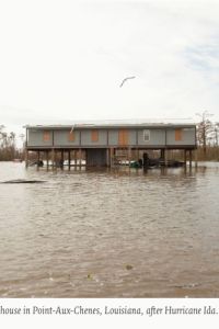 Diary: Louisiana Underwater