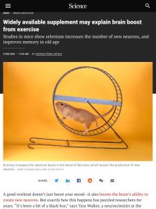 Widely Available Supplement May Explain Brain Boost from Exercise